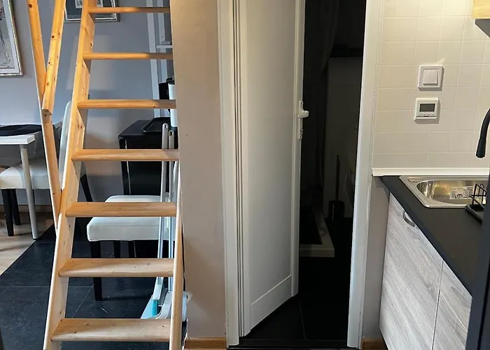 Cosy, Workplace With A Sunny Rooftop View Sofia